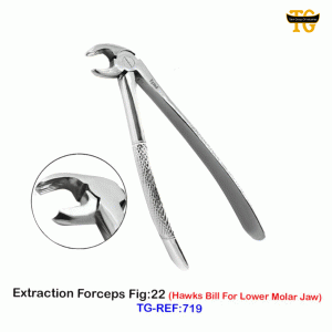 Extraction Forcep-TG-REF-0719