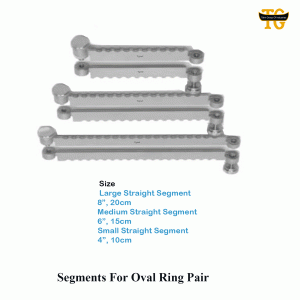 Segments For Ring-TGIND-00572